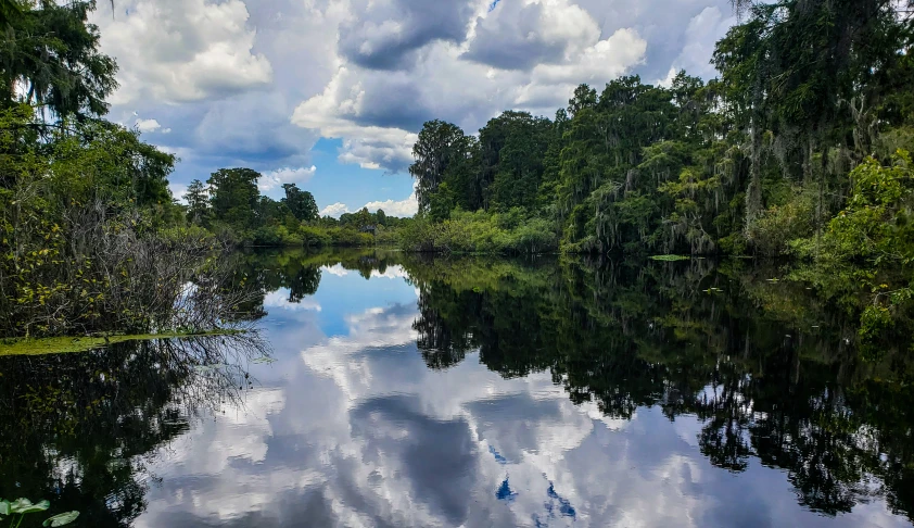 the reflection of trees and clouds on the water