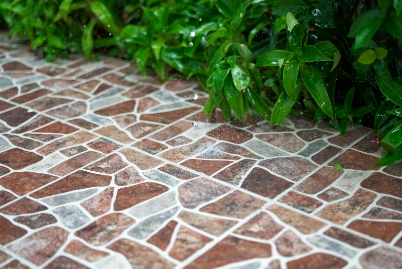 a couple of green bushes on top of a tiled ground