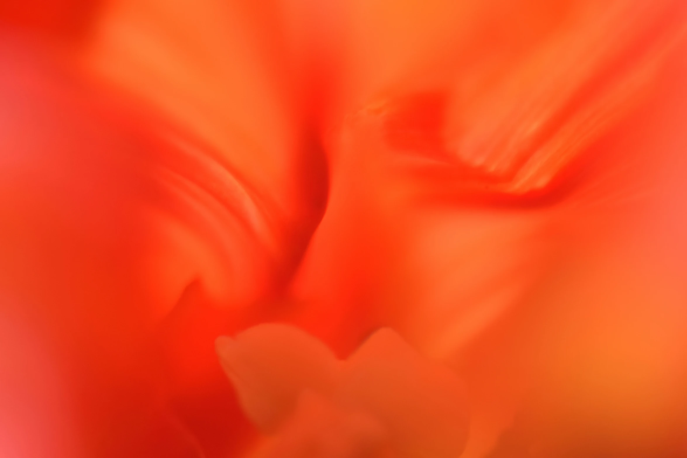 an orange blurred image with many details on it