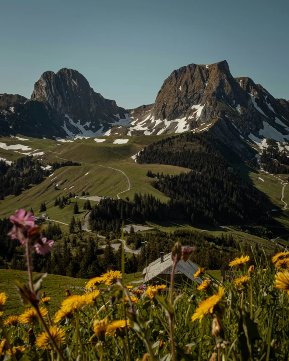 a scenic view from the top of a mountain