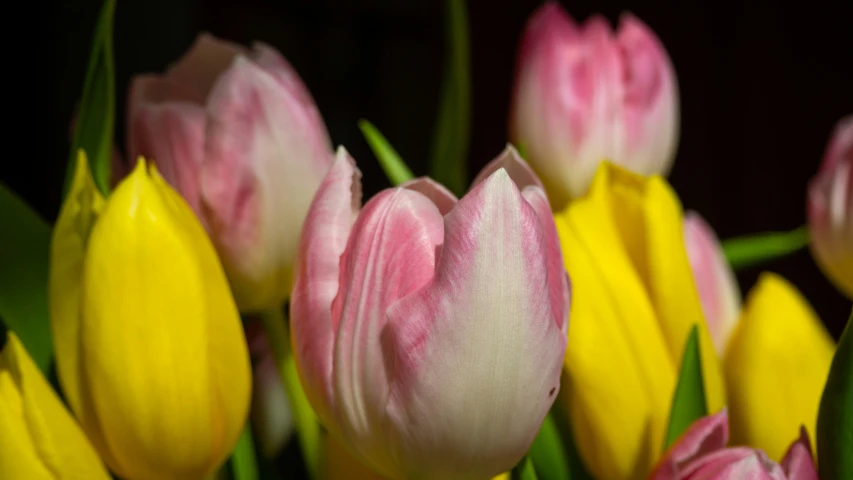 this is the back side of a bouquet of tulips