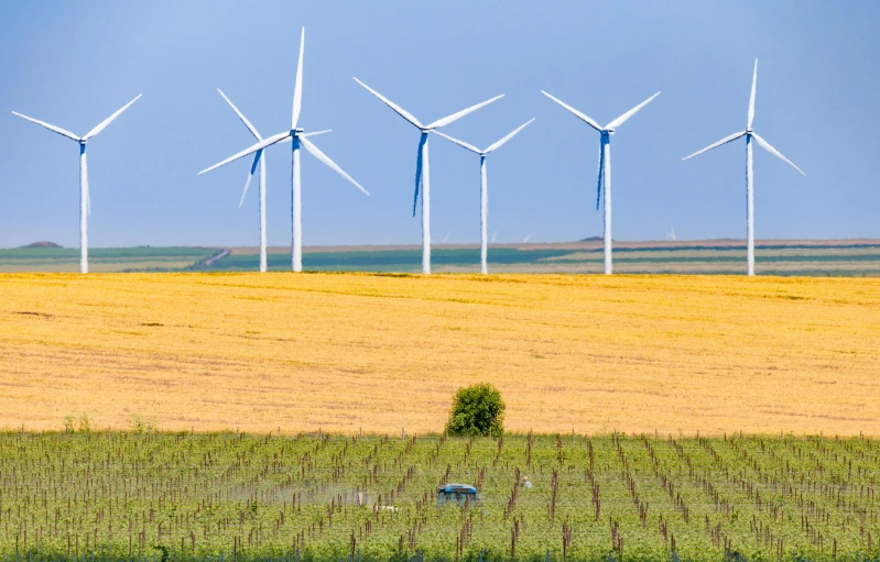 a group of windmills stand in the background behind a green field