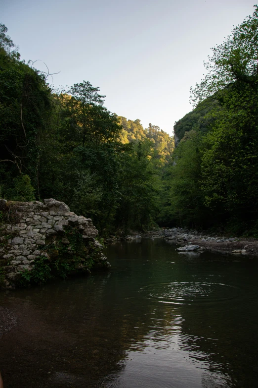 a river is running along a grassy bank