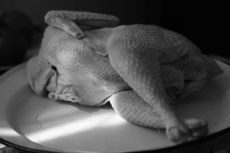 a turkey sits on a silver tray