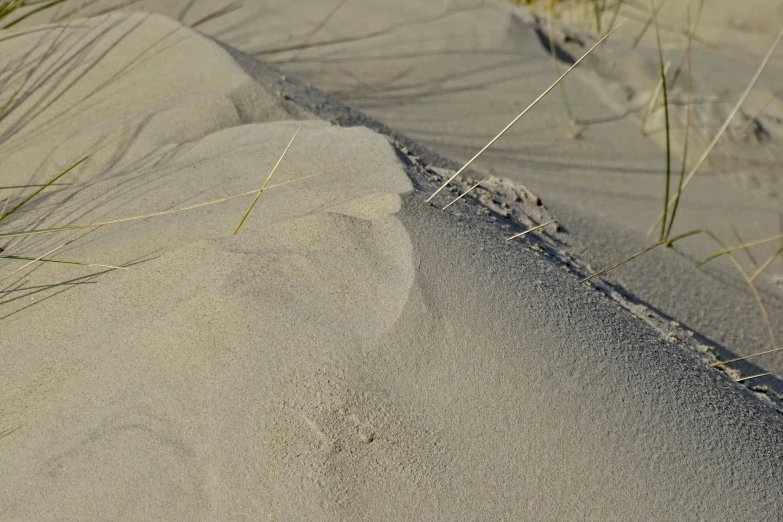 an image of the bottom of a sand dune with grass