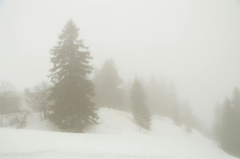 two people skiing on snow covered ground