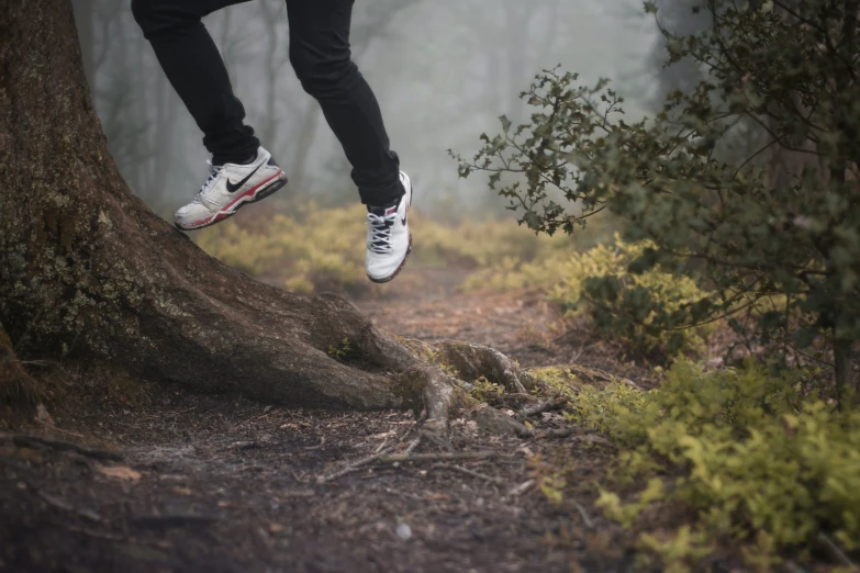 a person is standing on a tree trunk