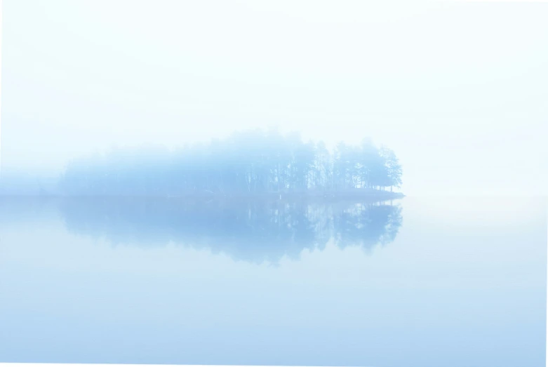 a large body of water surrounded by trees