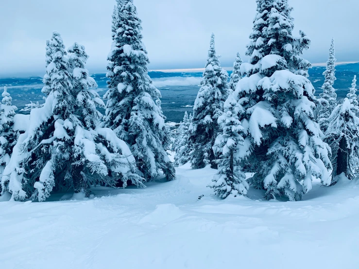 the view from the top of a snow covered hill