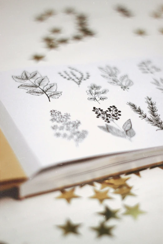 a close up of an open book with flowers and plants