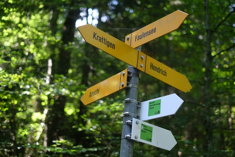 a street sign in a forested area pointing to two different directions