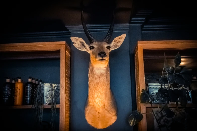 a deer statue made out of fake deer's head