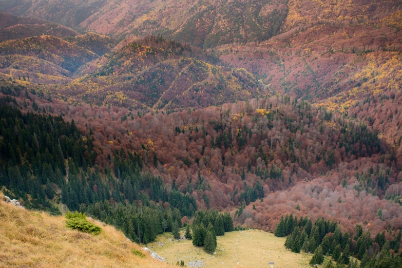 view looking down onto a valley with lots of trees in autumn