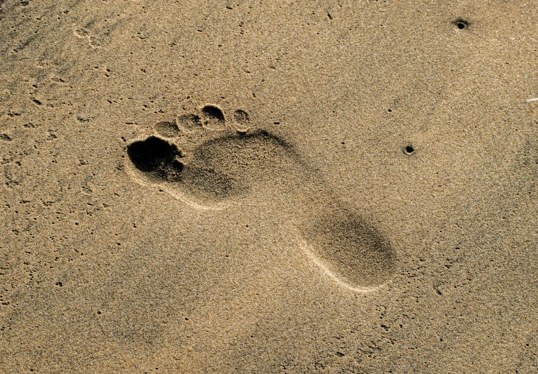 the bird's imprint in the sand is left on the beach