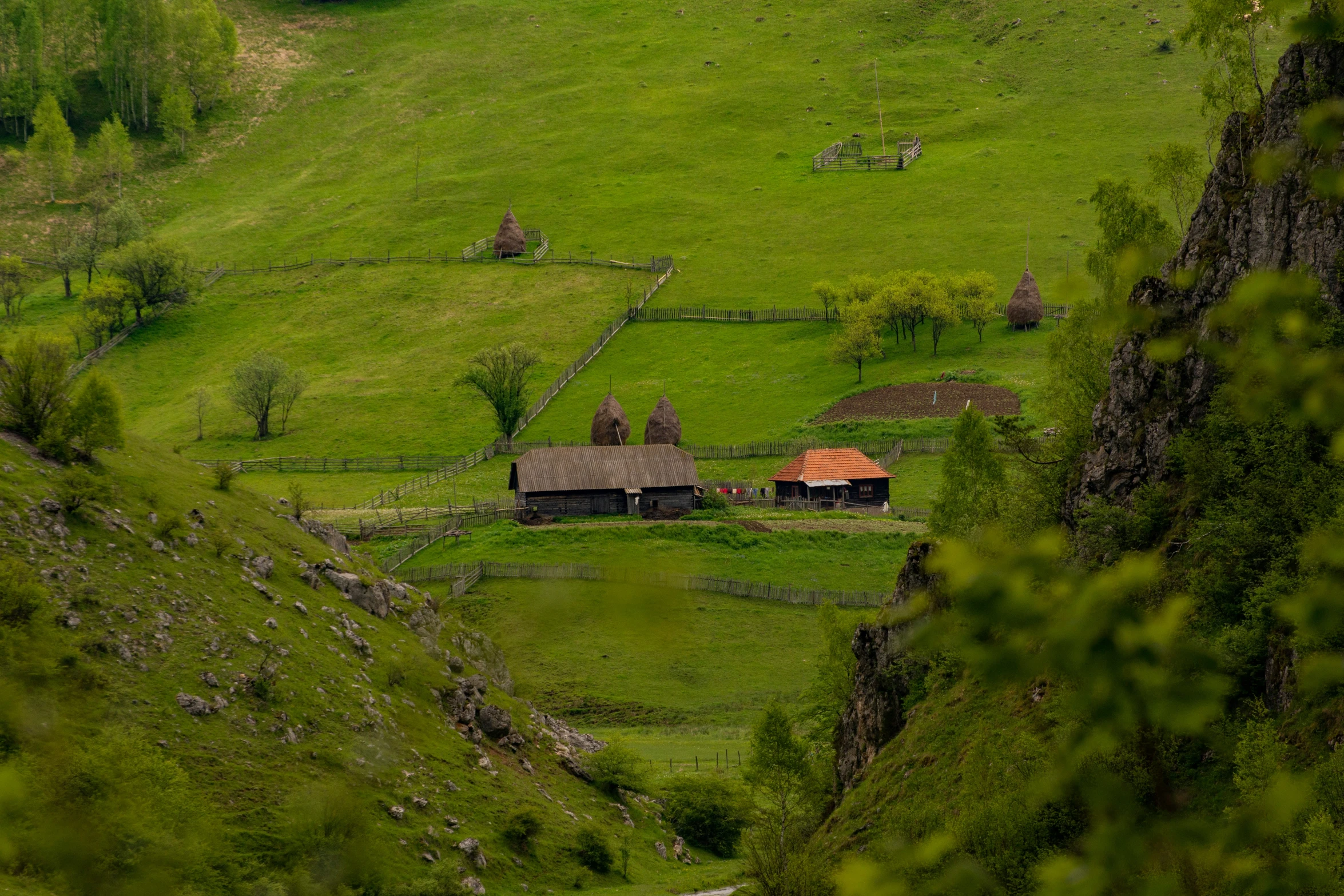 a green field with some houses in the middle