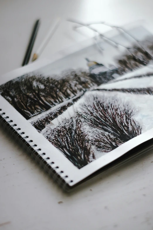 an old book with a picture of trees on it