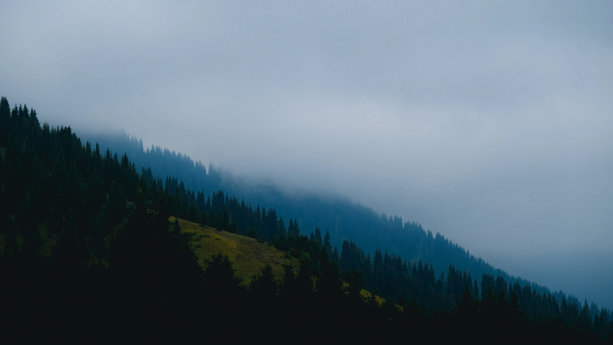 there is a hillside covered in a large amount of trees