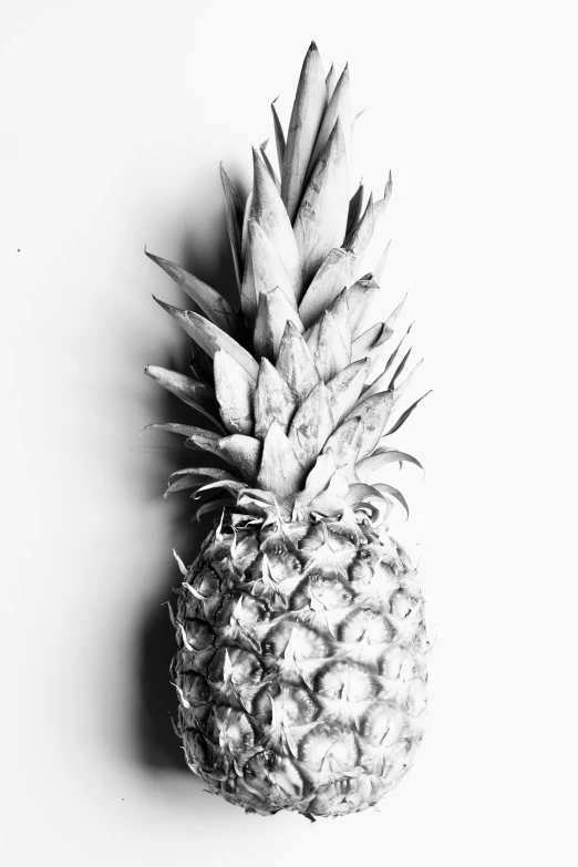 a pineapple in black and white against a plain background