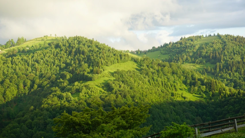 a lush green hillside with a wooden fence