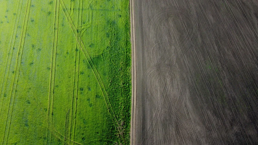 two farmers standing in a field and one has just plow