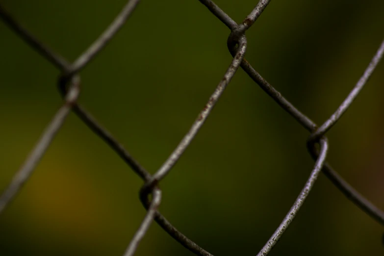 there is a small bird on the wire fence