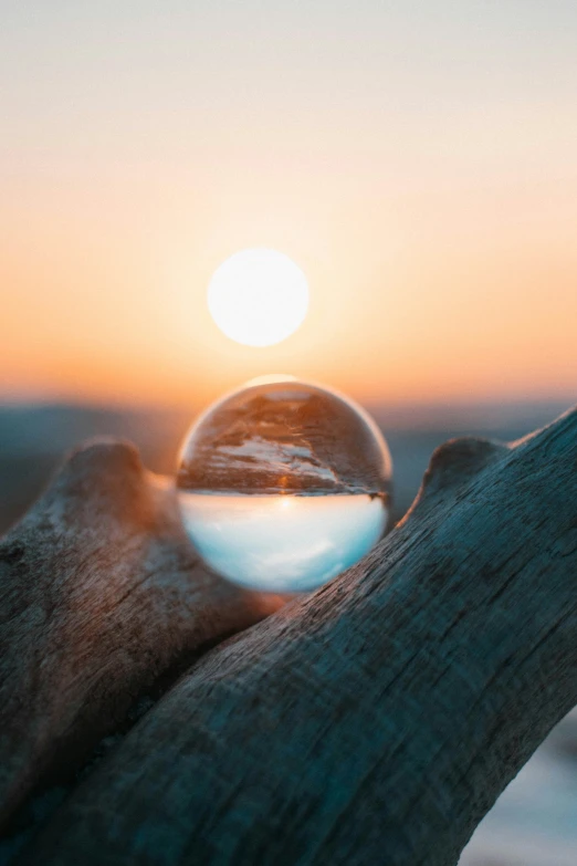 a hand holding a shiny crystal ball on top of a tree