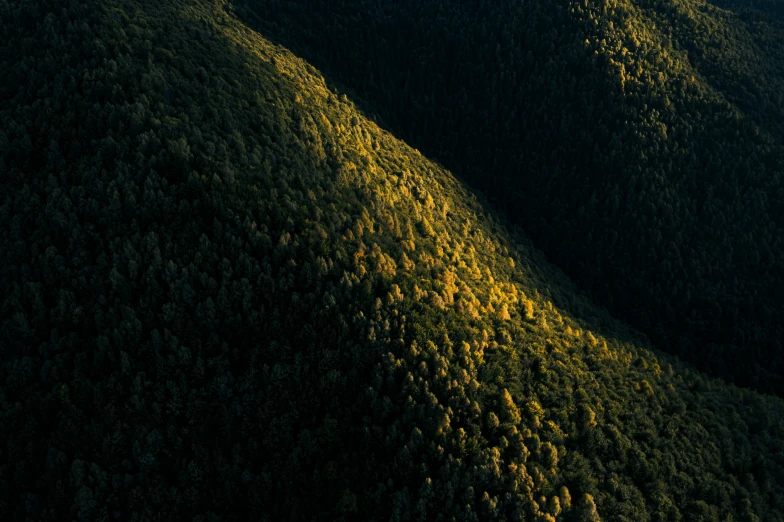 the top of two hills covered in yellow and green grass