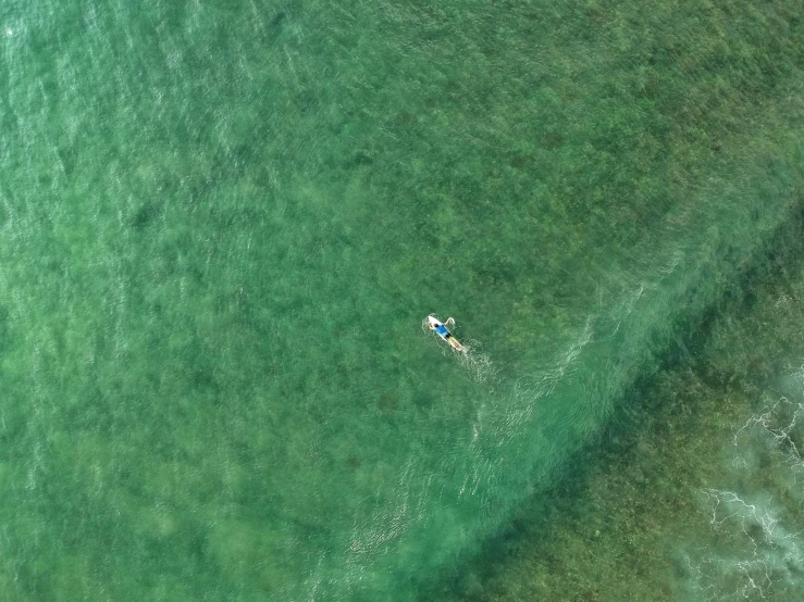 two people on paddle boards in the water