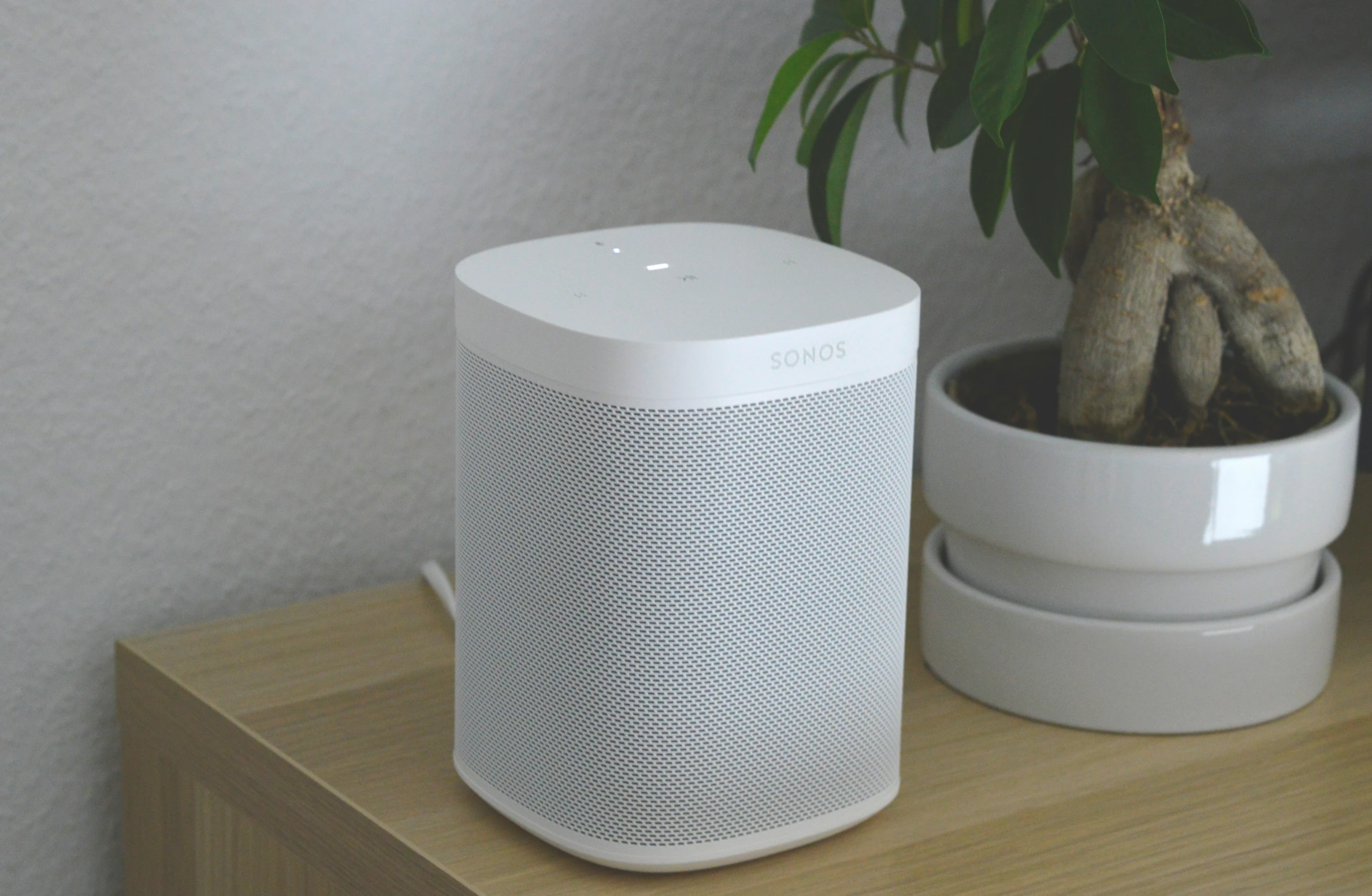 a white smart speaker is next to a plant