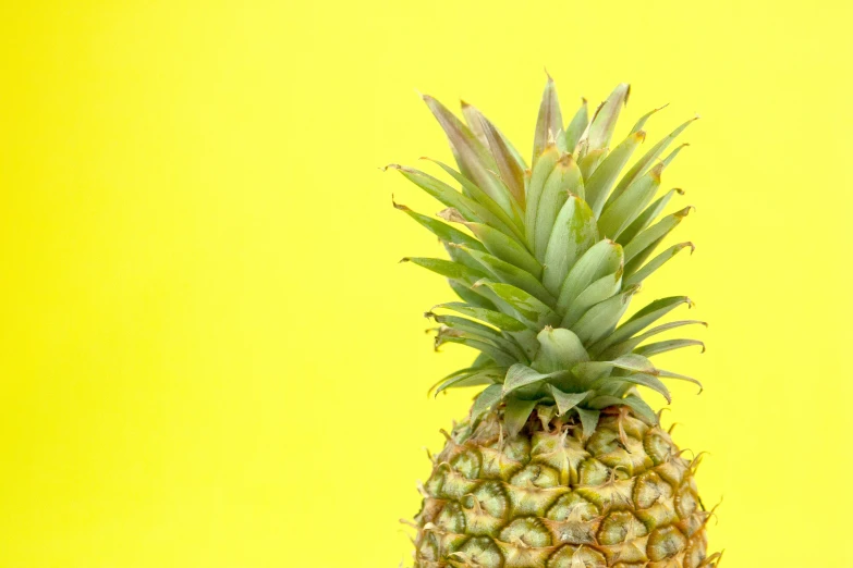 the pineapple is standing tall on the yellow surface