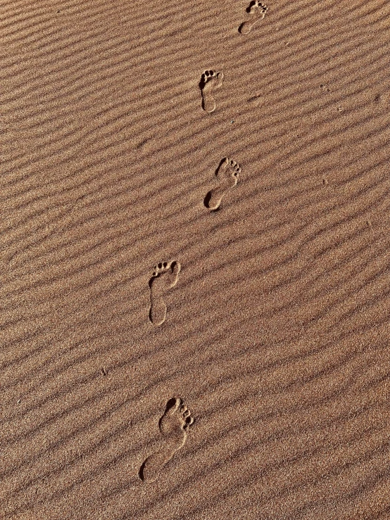 the small footprints are in the sand and on the beach