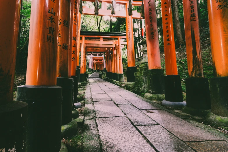 several large orange columns line a path in the middle of a forest