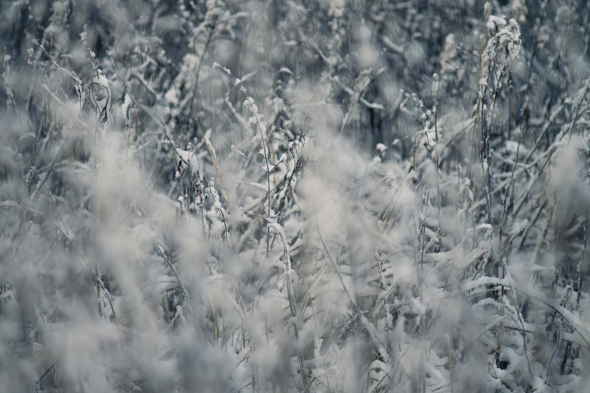 an image of the outdoors in winter