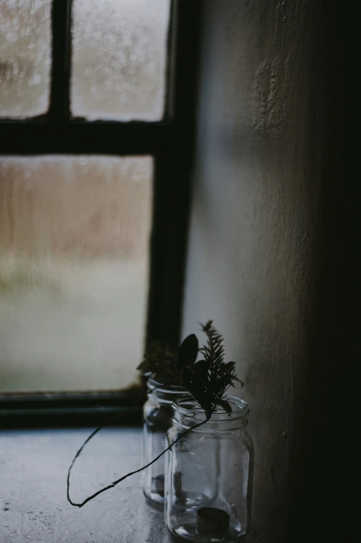 an empty vase with some plants in it