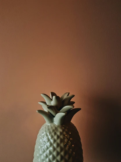 a close up of a green pineapple with a brown background