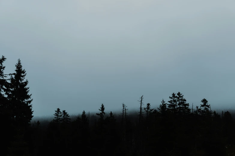 an airplane flying in a cloudy sky over some trees