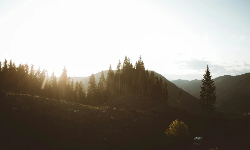 the sun is shining through the trees on the hill