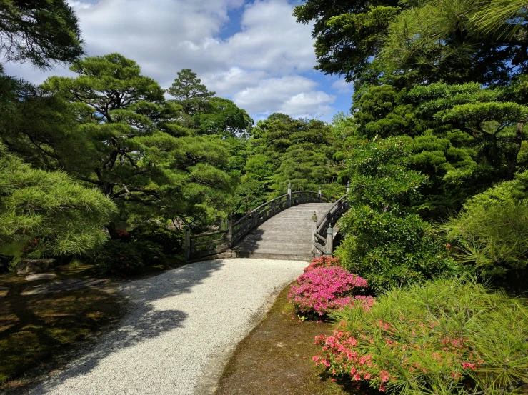 a dirt and stone walkway surrounded by trees and flowers