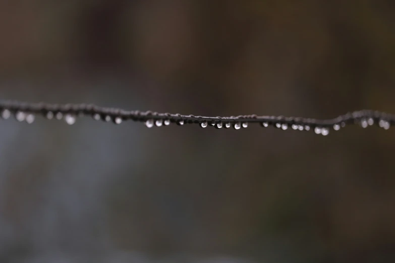 some water drops are lying on a wire