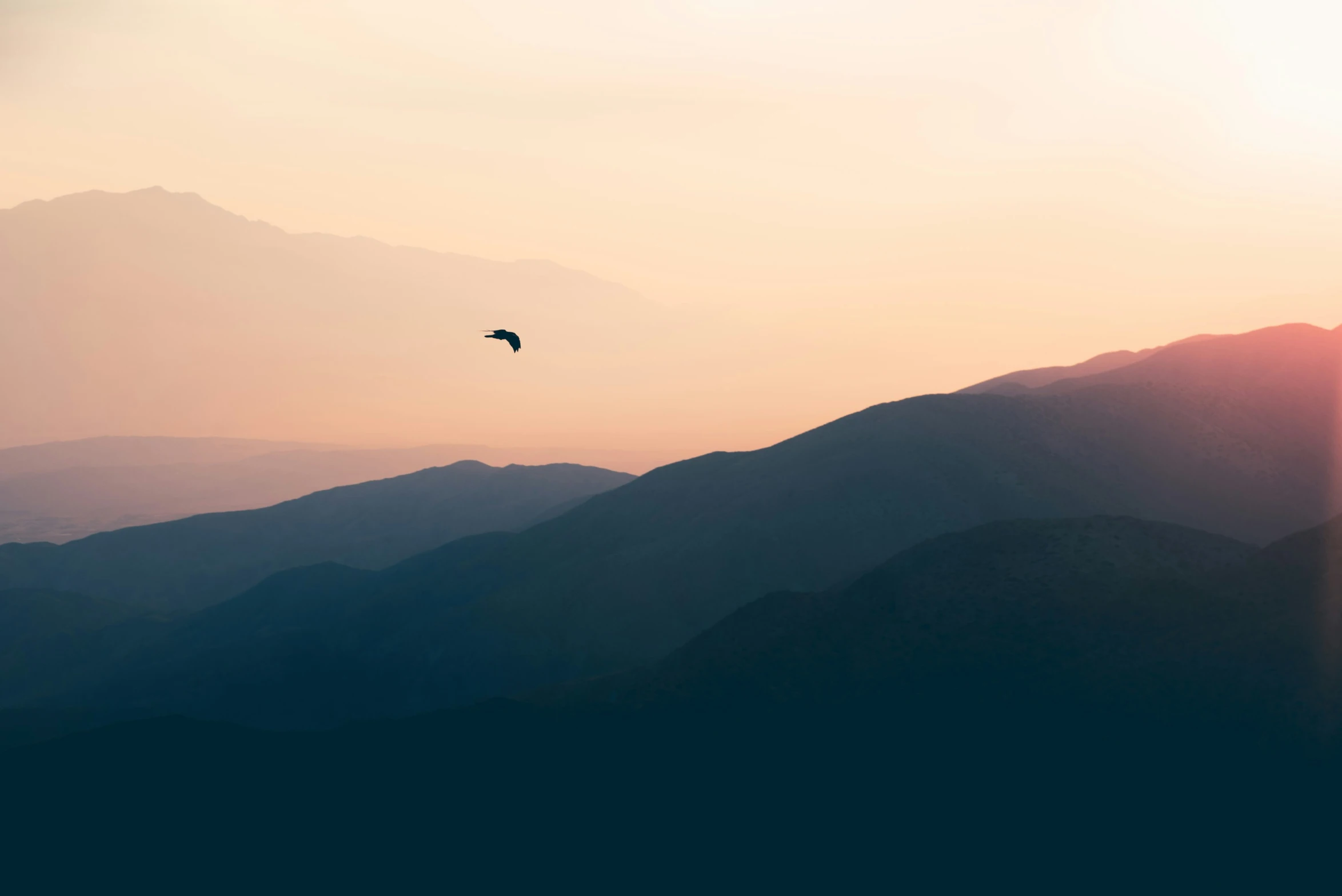 a bird flying on top of a lush green hillside