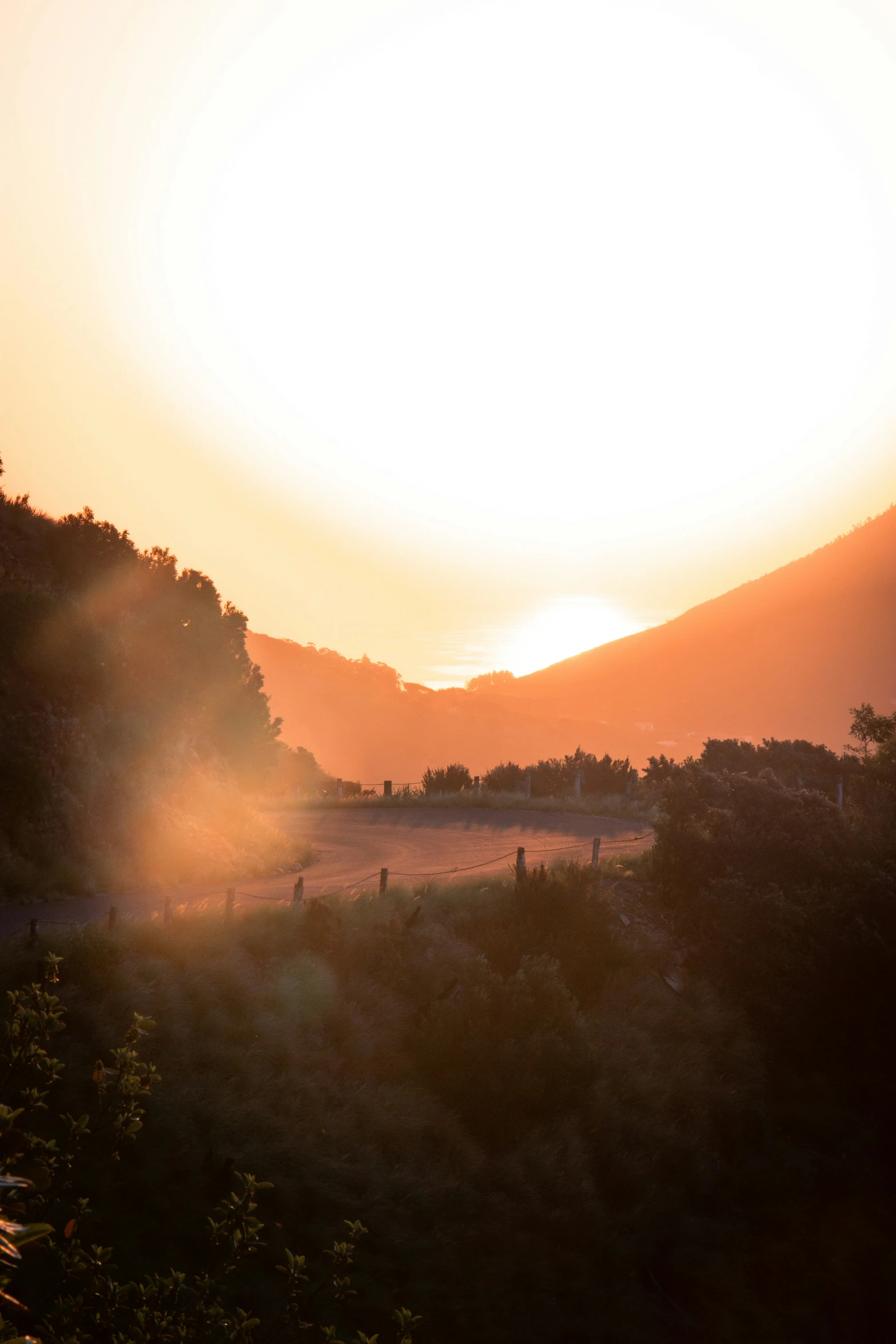 the sun is setting in the mountains with trees