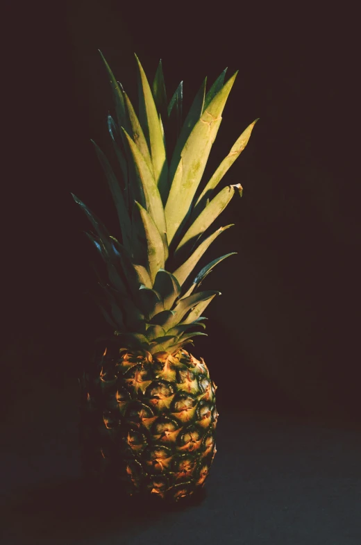 a small pineapple on a dark surface