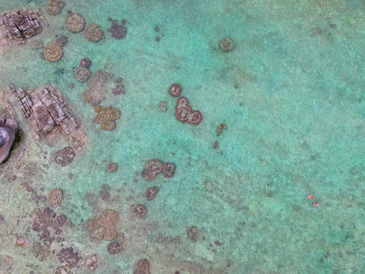 rocks are on the bottom of the ocean