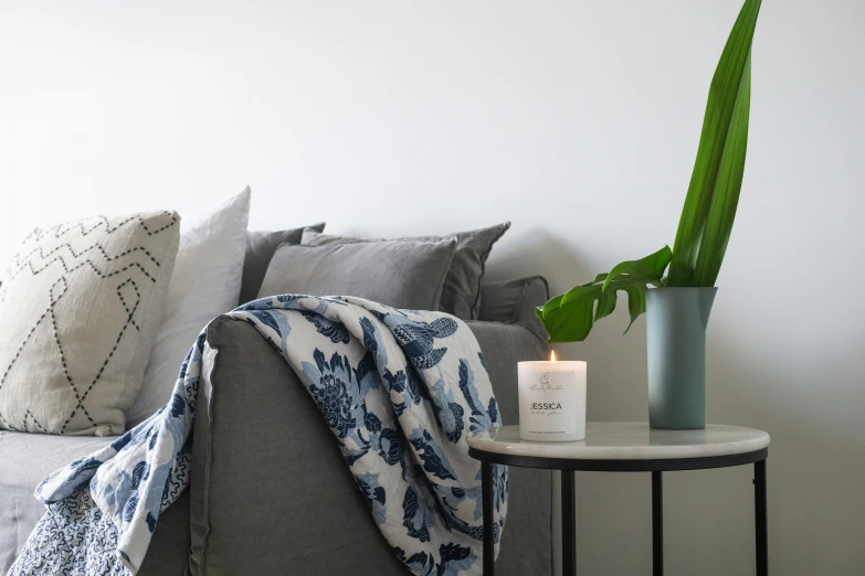 a living room with a white and blue comforter, coffee table and green plant