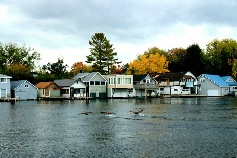 many houses are on stilts on the lake