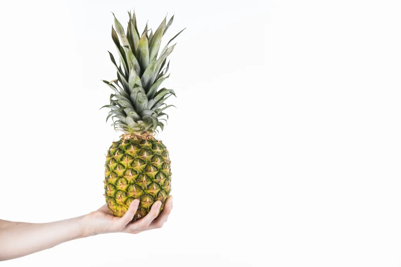 a person holding up a pineapple in front of the camera