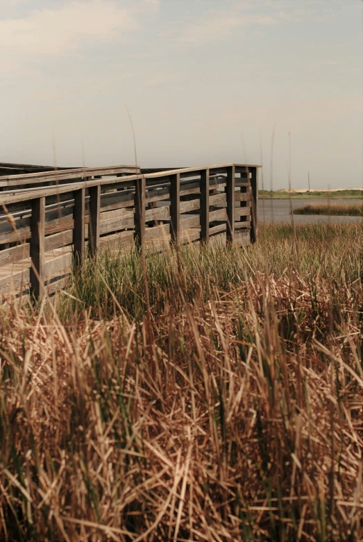 a few wooden slats on some grass