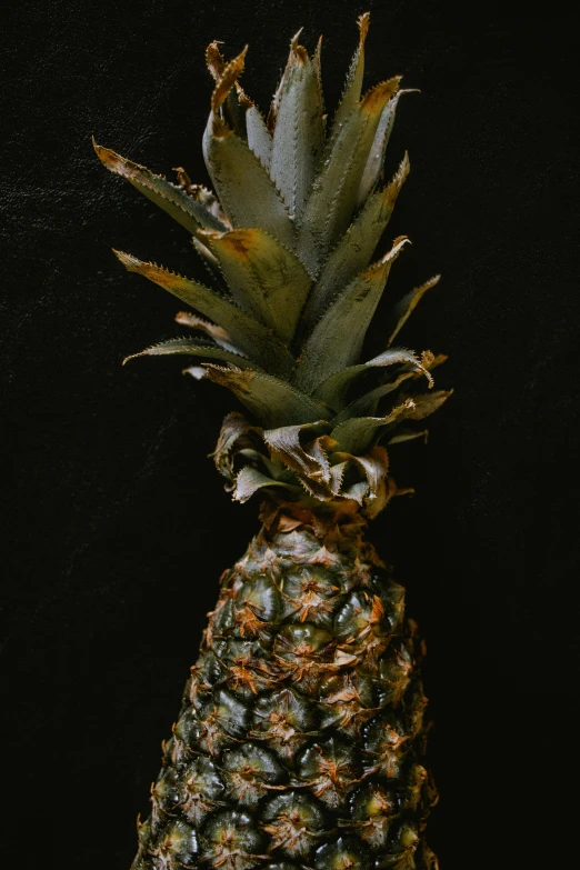 an upside down pineapple is standing up