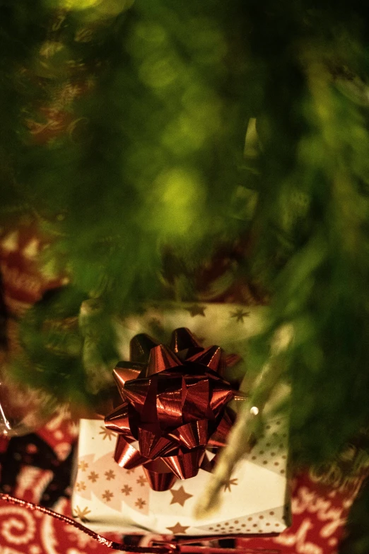 a present on a blanket is wrapped in red bow