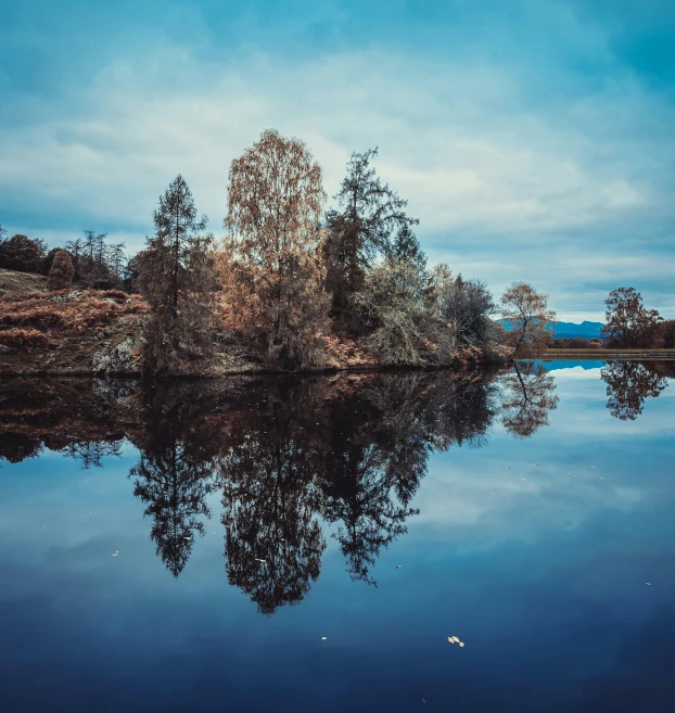 a lake with trees, grass and blue sky